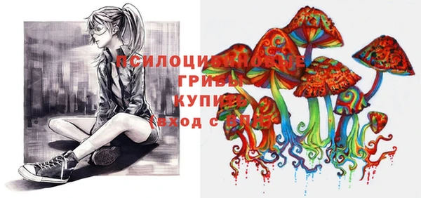 сатива Алексин