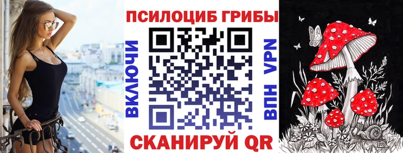 что такое   Котельнич  Псилоцибиновые грибы Psilocybe 